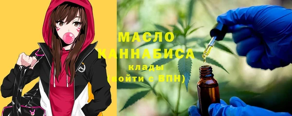 соль ск Алексин