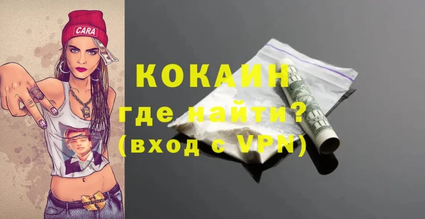 соль ск Алексин