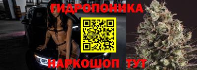 мдпв Ачхой-Мартан