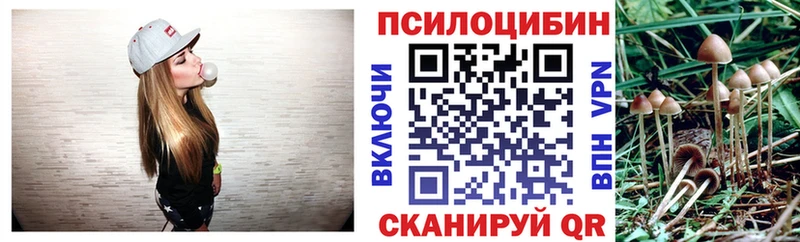 даркнет сайт  Махачкала  Псилоцибиновые грибы Cubensis 